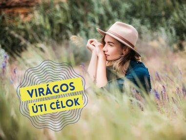 Főszerepben a vir&aacute;gok!