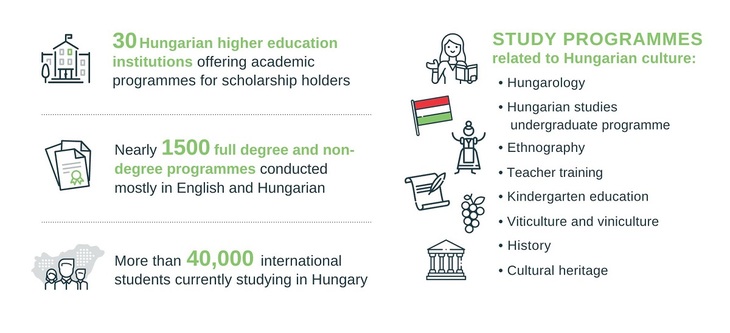 Diaszpóra Ösztöndíjprogram infografika