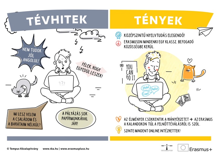 Tények és tévhitek infografika