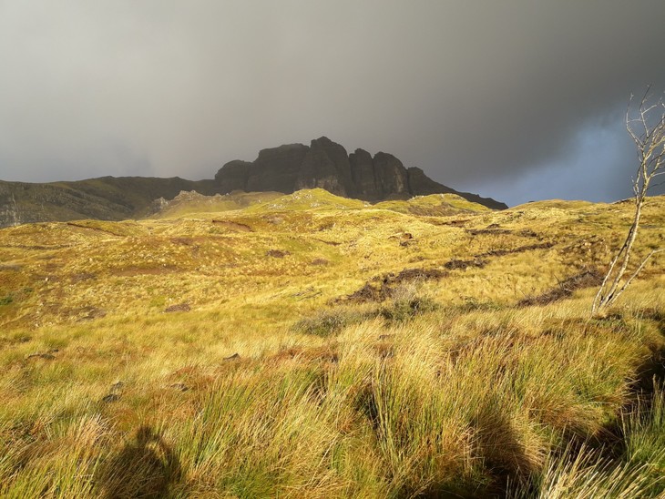 A Hebridák szigetcsoport egyik szigete Isle of Skye szigetének tájképe aranyló mezőkkel és sötét
        szirtek a háttérben