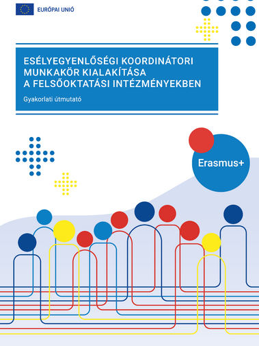 Es&eacute;lyegyenlős&eacute;gi koordin&aacute;tori munkak&ouml;r kialak&iacute;t&aacute;sa a felsőoktat&aacute;si int&eacute;zm&eacute;nyekben