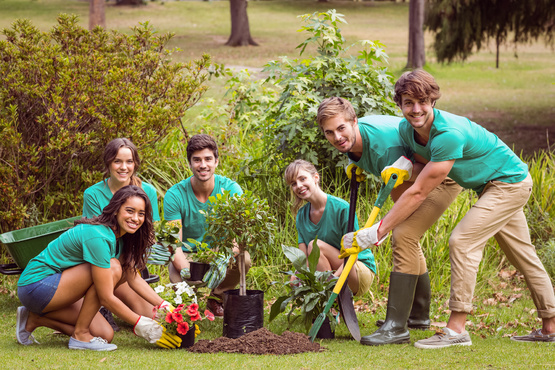 SALTO Green resource centre