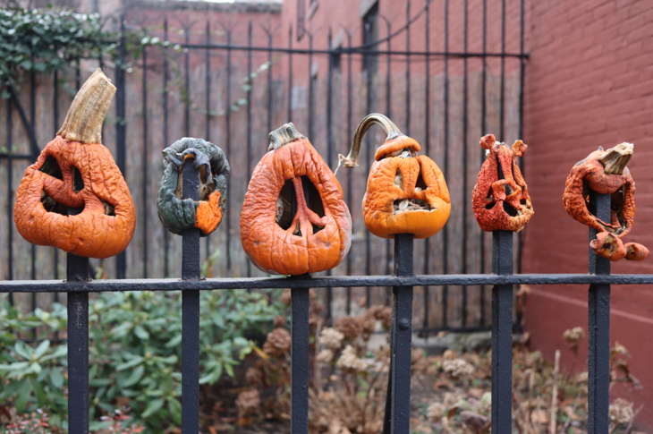 A képen a Halloween tökök láthatók