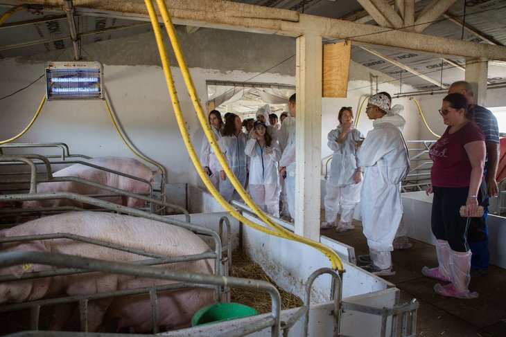 Egy csapat fiatal megismeri a húsfeldolgozó üzem működését